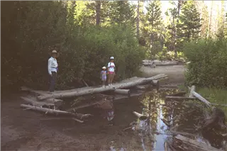 small_9107 1260 yosemite etc IMG0039.webp